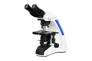Struttura Del Microscopio