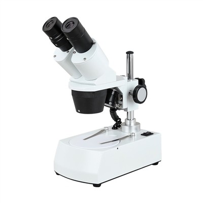 come funziona uno stereomicroscopio