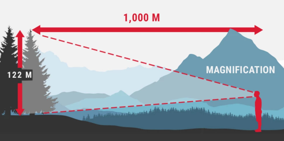 info-989-491 info-989-491