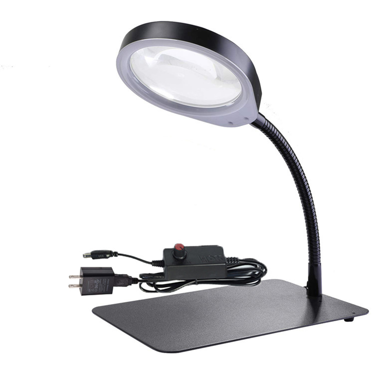 Lampada Con Una Lente Di Ingrandimento